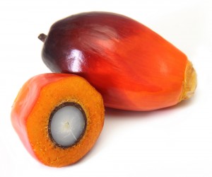 Glycerine - Palm Oil